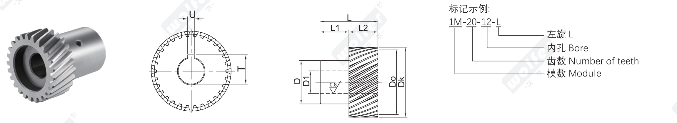 Helical gear construction and designation diagram