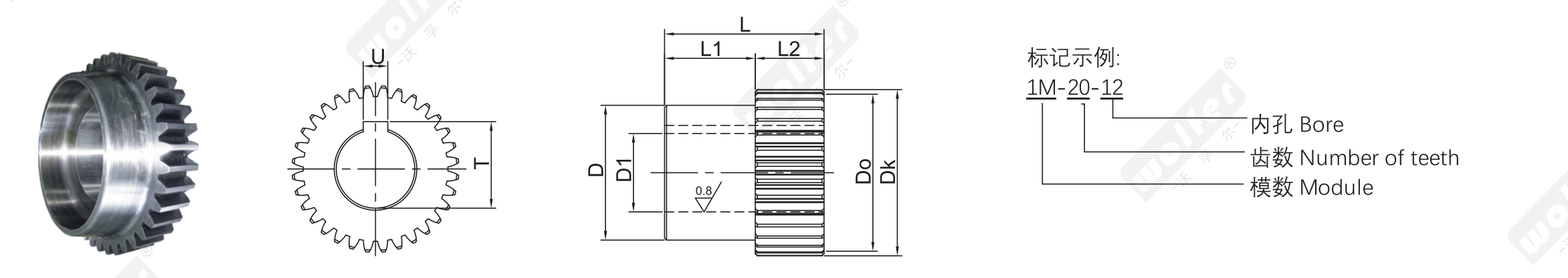 Spur gear construction and designation diagram · Bore · Number of teeth · Module