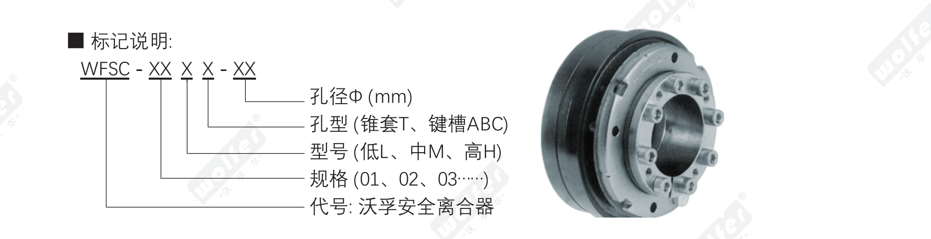 WFSC ball-detent torque limiter model designation and product overview